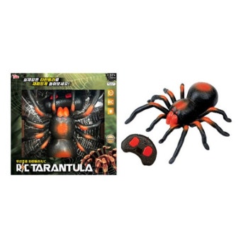 타란튤라RC 진짜같은거미